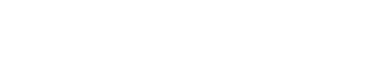 TypeSafe AI